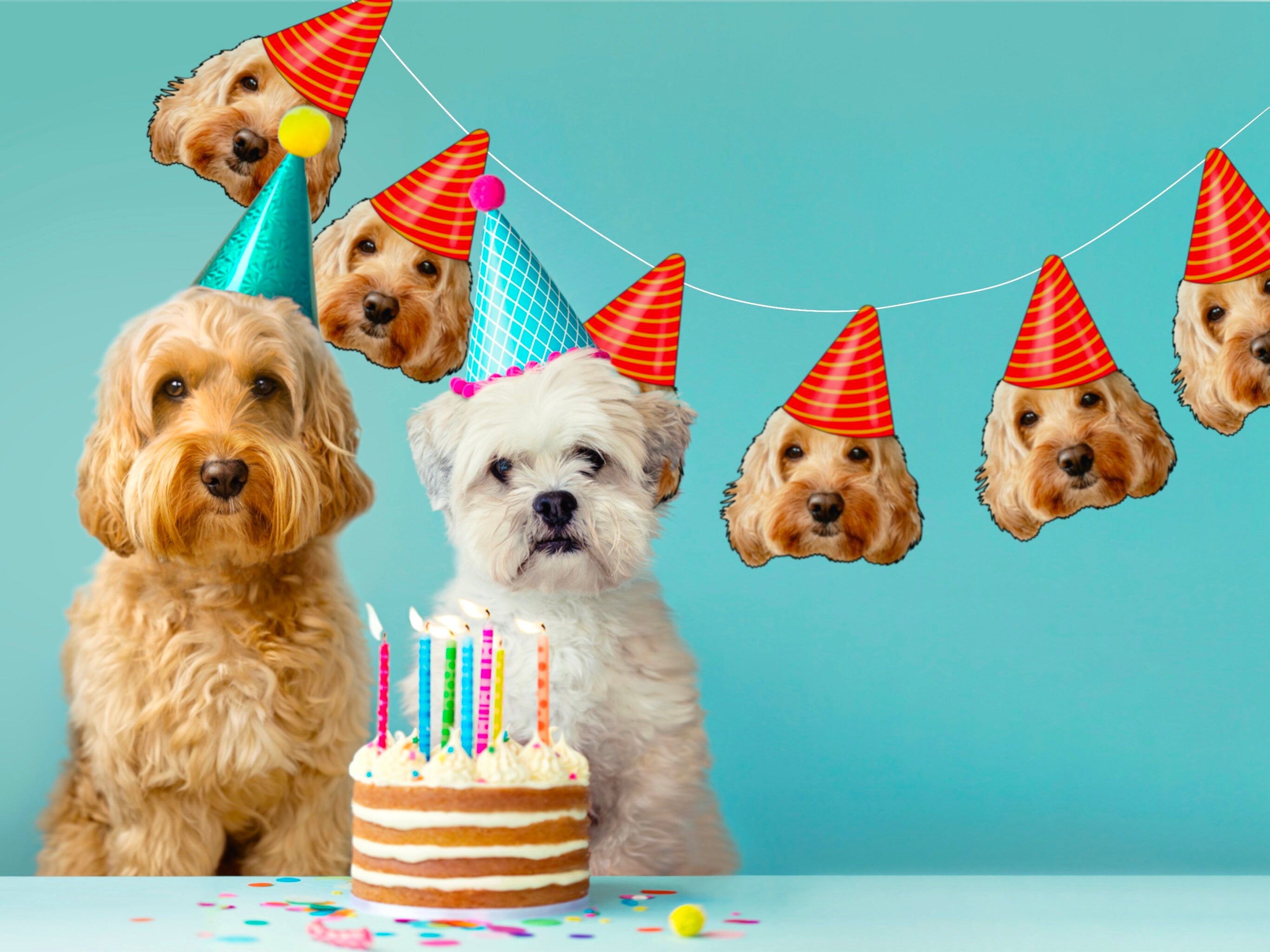 PET BANNER | personalised decorations, photo face topper, dog party, cat birthday