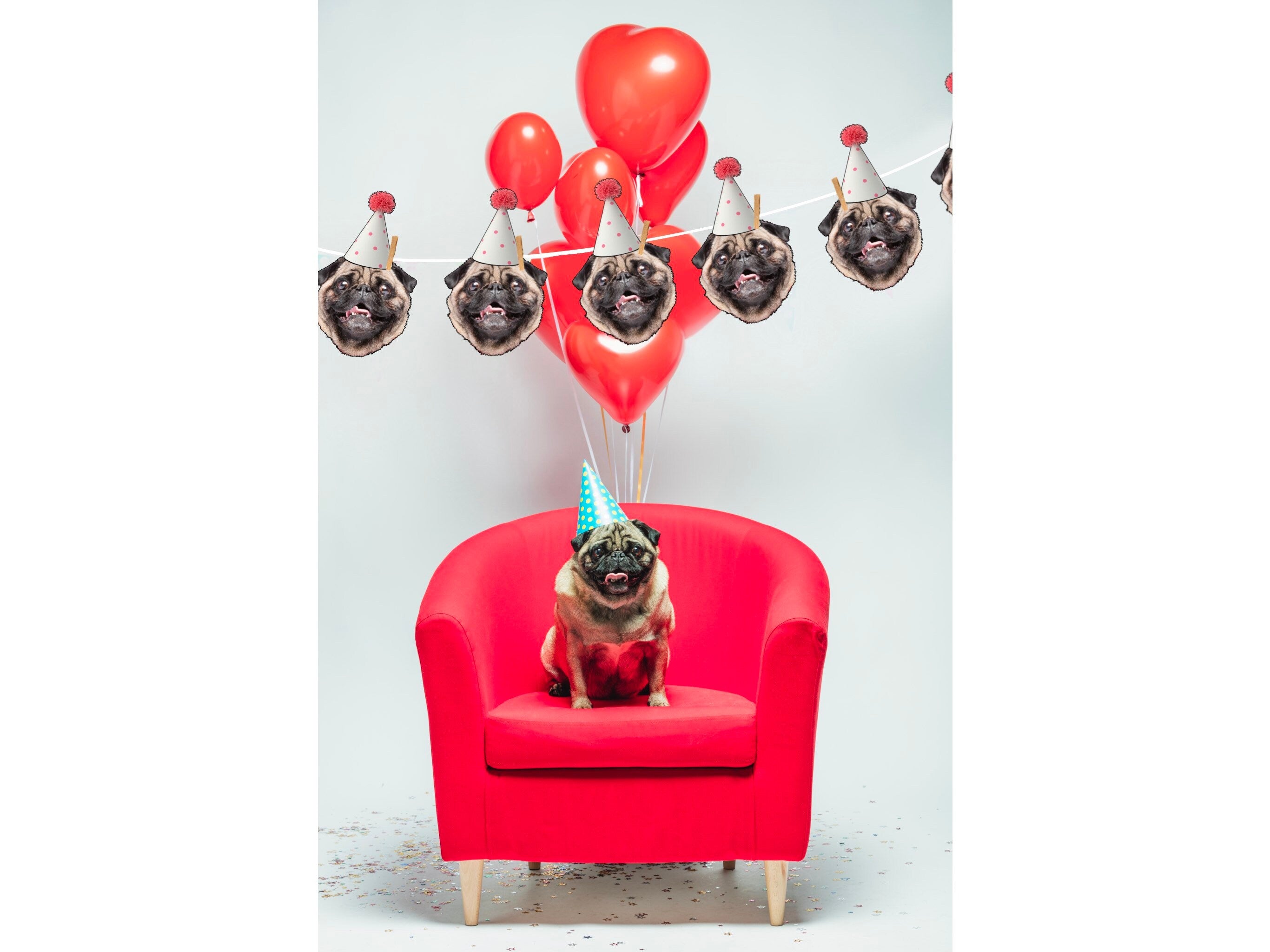 PET BANNER | personalised decorations, photo face topper, dog party, cat birthday