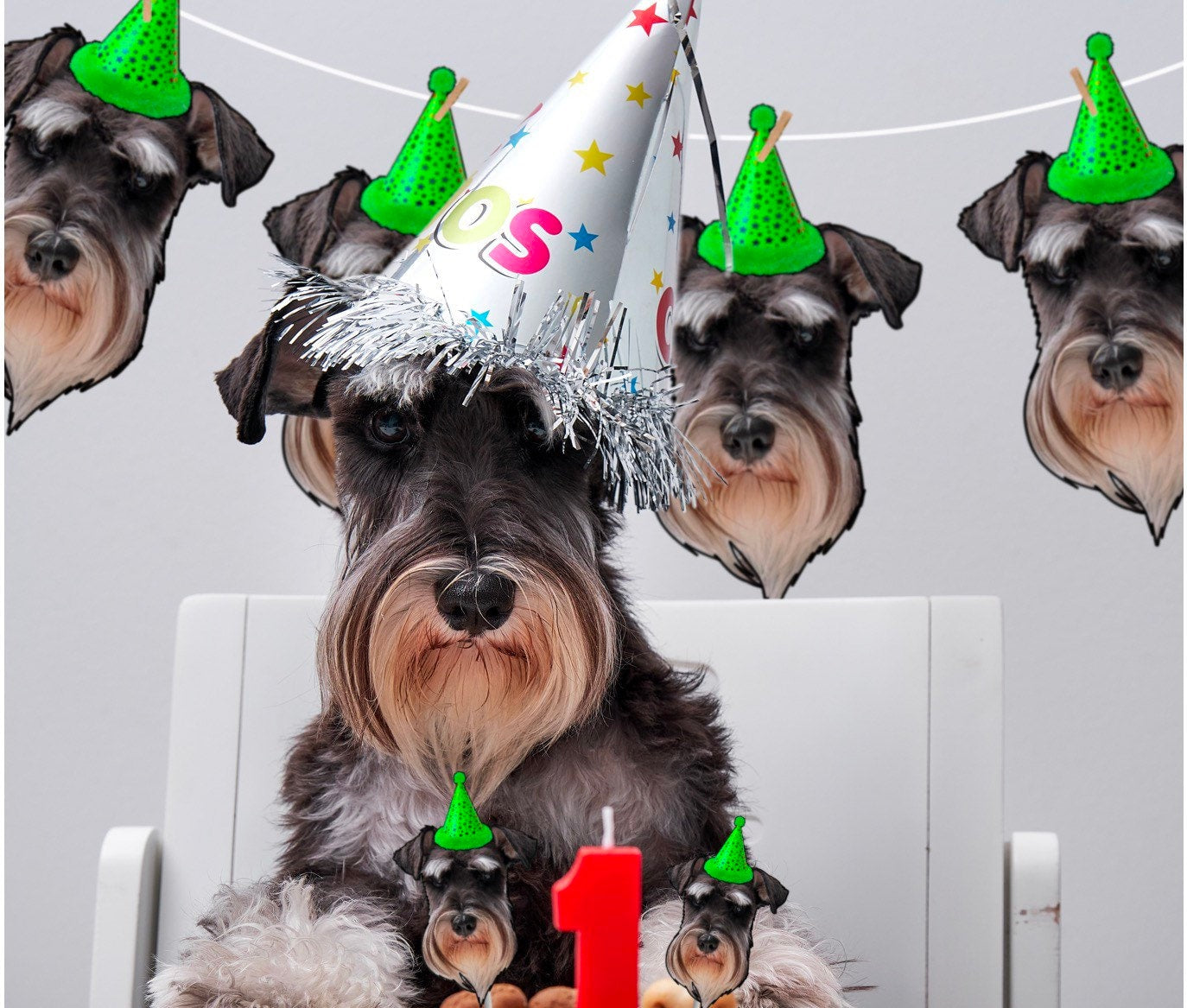 PET BANNER | personalised decorations, photo face topper, dog party, cat birthday