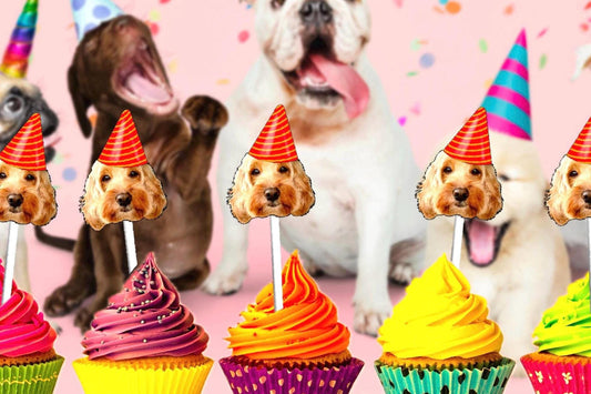 Custom dog face cupcake toppers with party hats – fun and colourful personalised pet decorations for birthdays, pawties, and celebrations. Bright cupcakes and playful dog backdrop add to the festive theme.