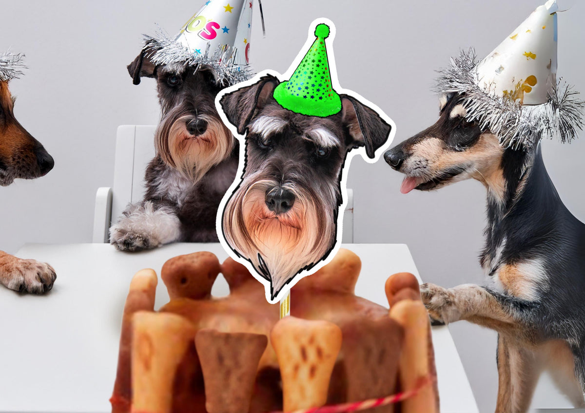Personalised Pet Face Cake Topper: Custom Dog or Cat Birthday Decoration for Smash & Celebration