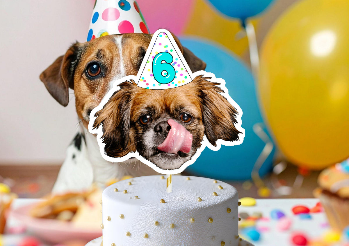 Personalised Pet Birthday Cake Topper, Custom Dog or Cat Photo Face Decoration for Pet Birthday and Gotcha Day Party
