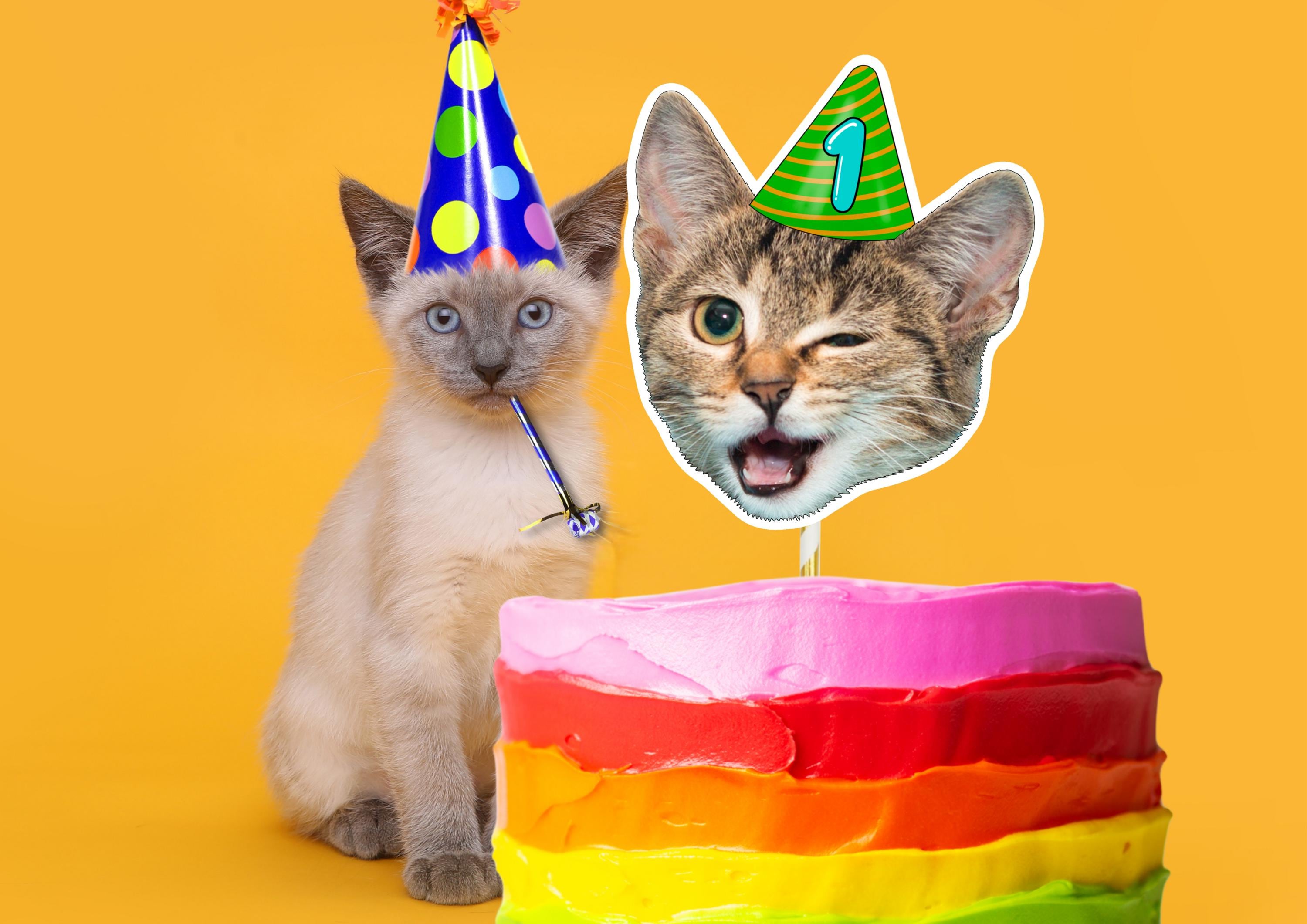Cat Cake Topper – Custom Cat Face Photo Cake Decoration – Personalised Cat Birthday Party Supplies – Funny Kitty Cake Props