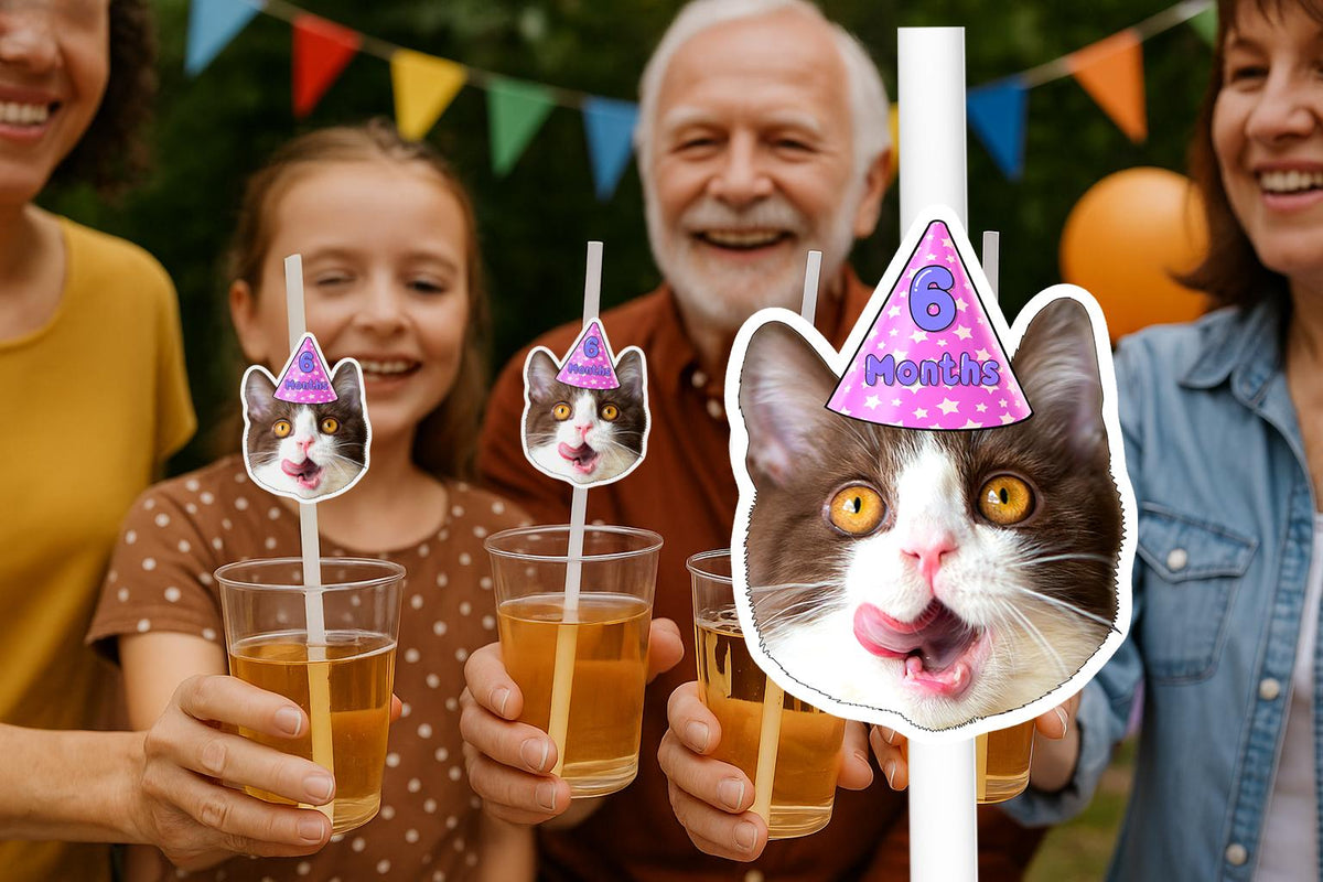 Cat Party Straws – Personalised Cat Face Drink Decorations – Custom Kitty Birthday Supplies – Funny Pet Party Favours