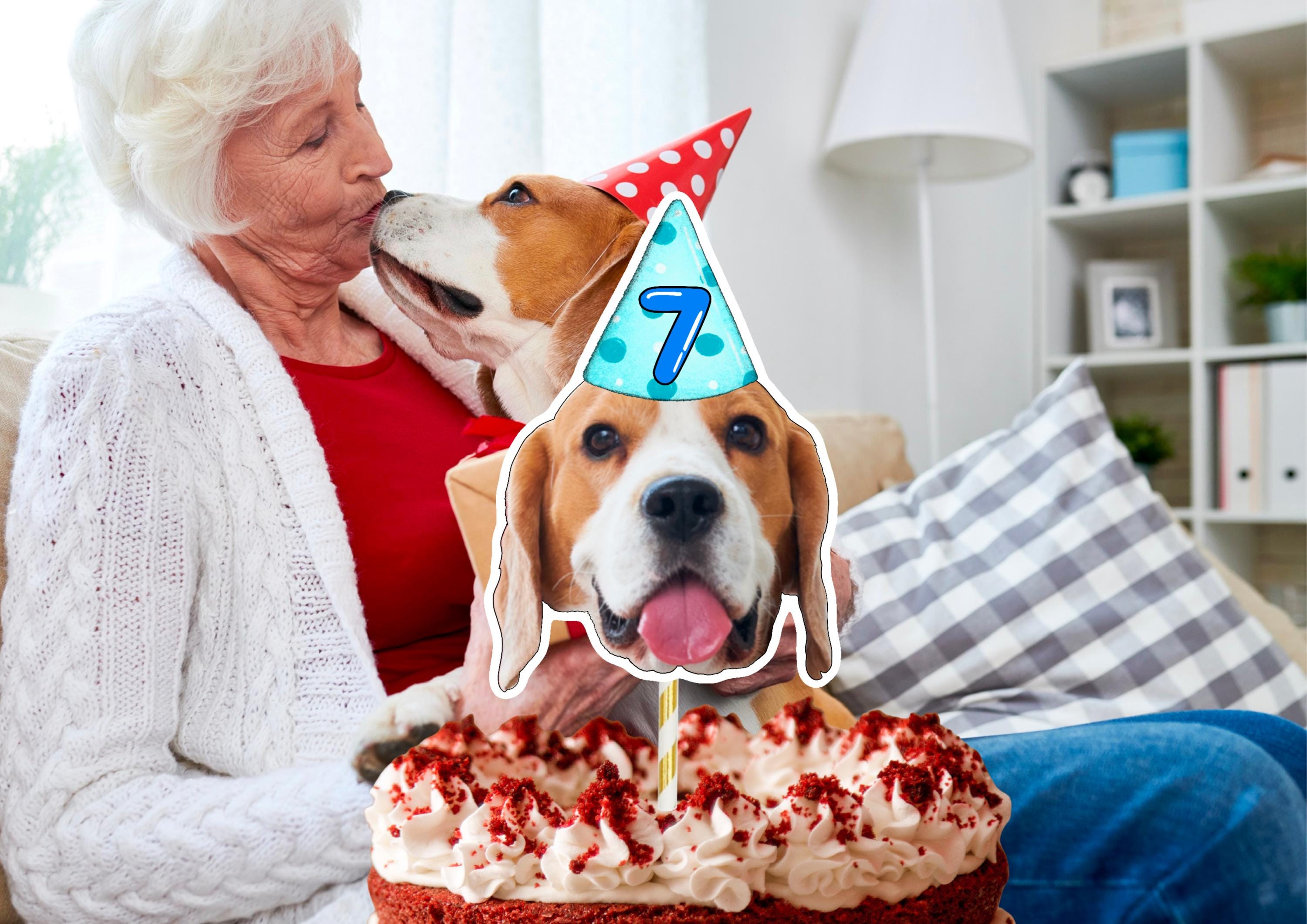 Dog Cake Topper – Custom Dog Face Photo Cake Decoration – Personalised Dog Birthday Party Supplies – Funny Pawty Cake Props