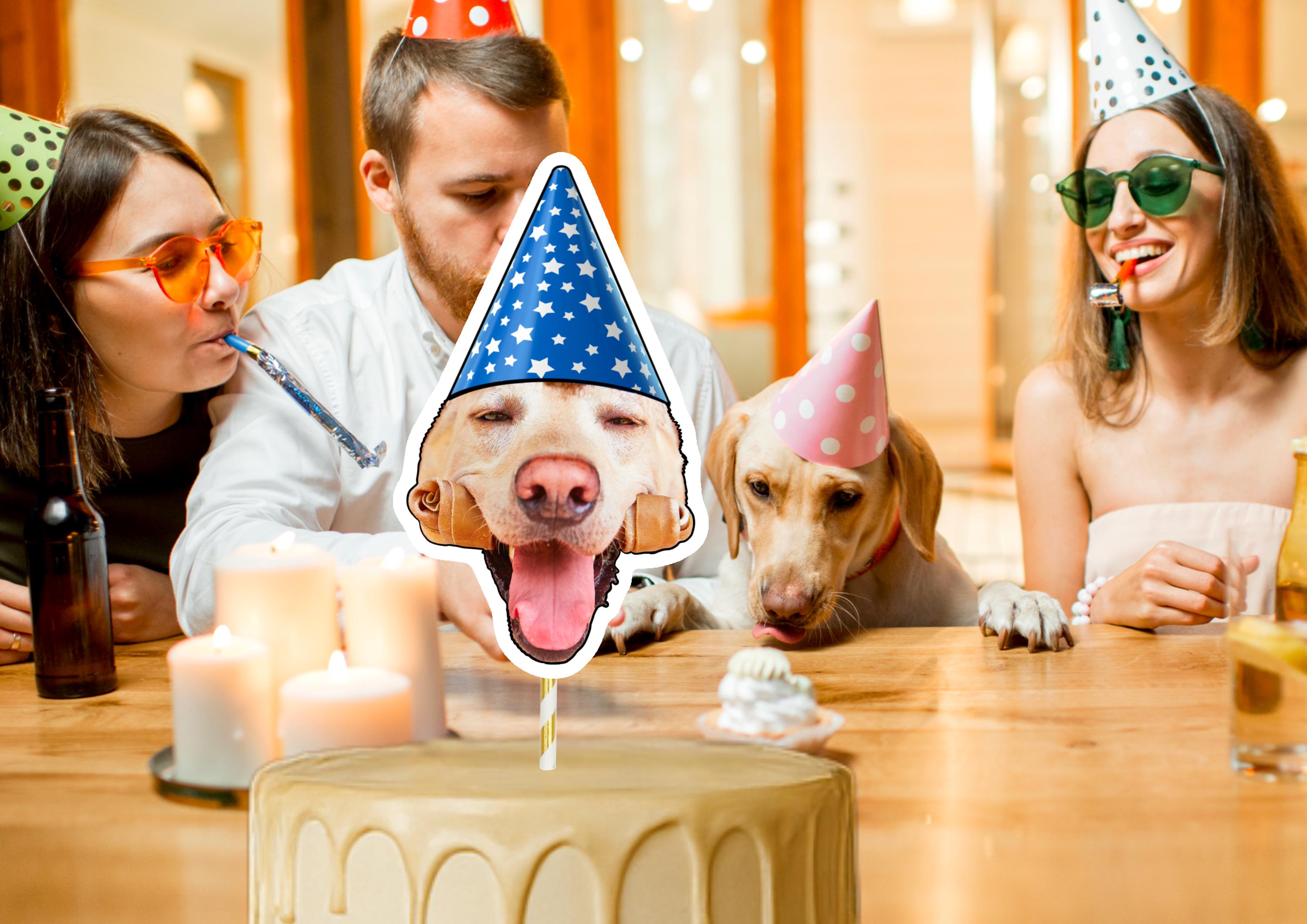 Dog Cake Topper – Custom Dog Face Photo Cake Decoration – Personalised Dog Birthday Party Supplies – Funny Pawty Cake Props