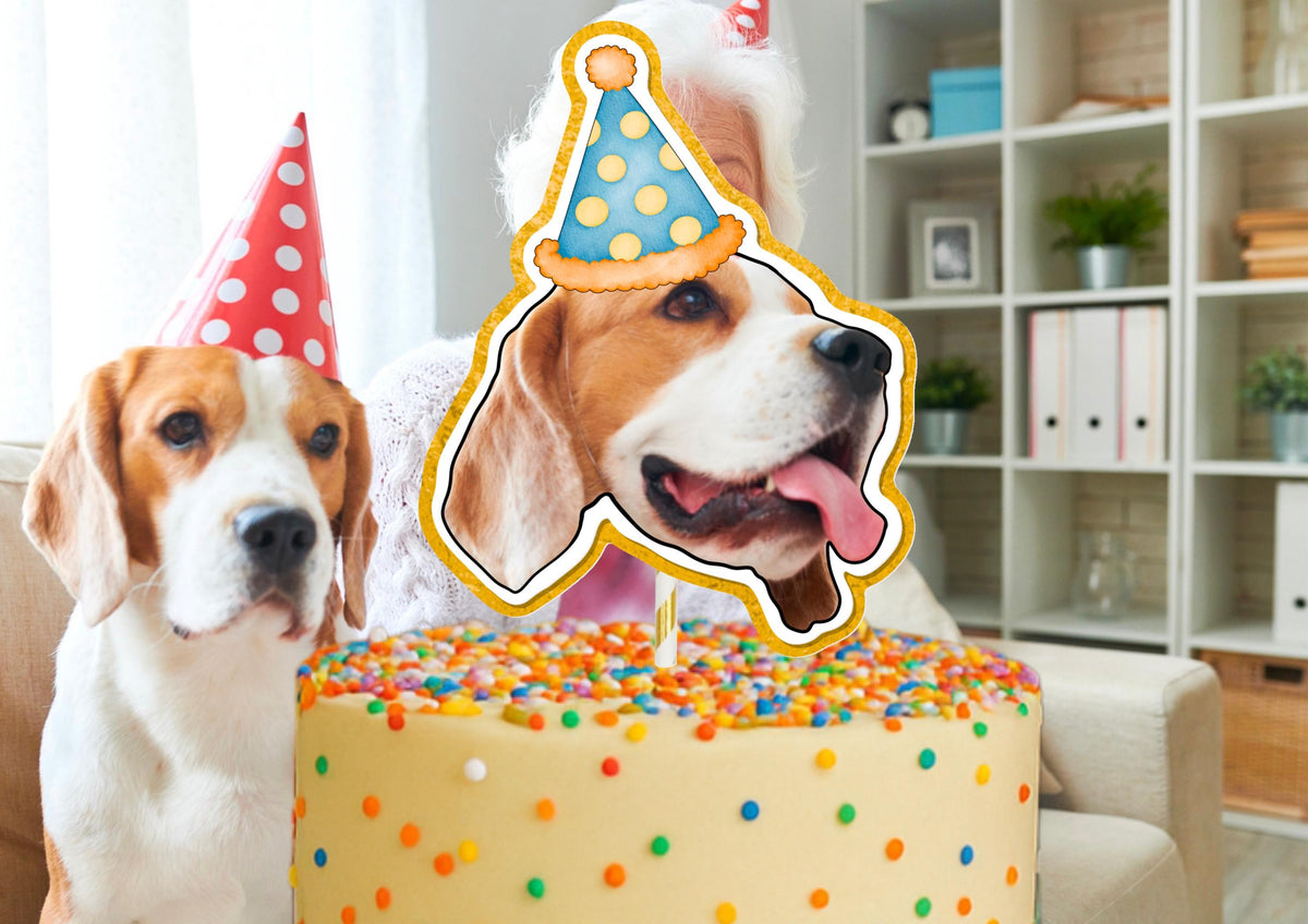 Personalised Pet Face Cake Topper: Custom Dog or Cat Birthday Decoration for Smash & Celebration