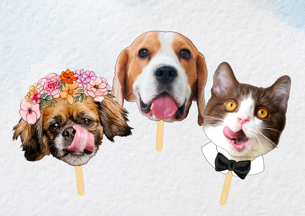 Photo Face on a stick, Masks for Personalised Birthdays, Hen Parties & Stag Dos | Custom Party Decorations and Gifts | pet heads