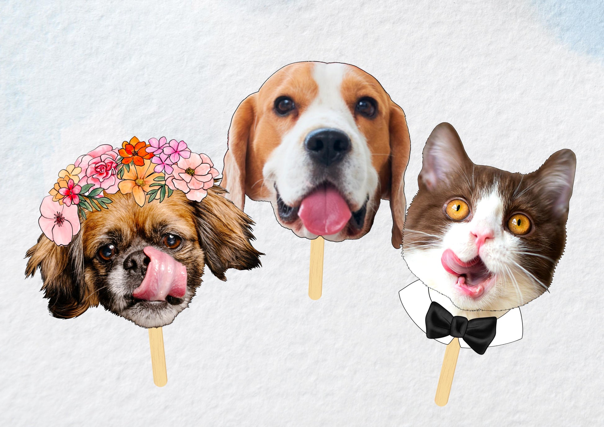 Photo Face on a stick, Masks for Personalised Birthdays, Hen Parties & Stag Dos | Custom Party Decorations and Gifts | pet heads