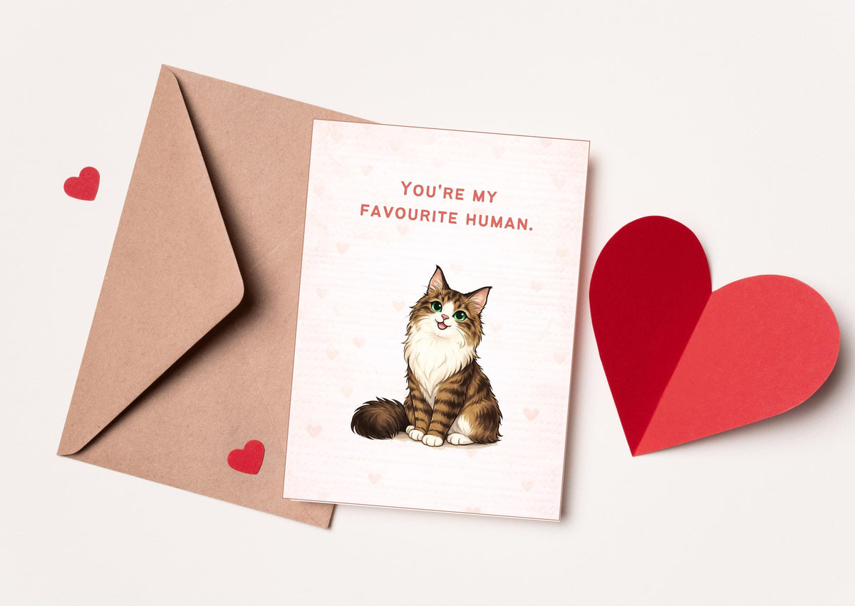 You're My Favourite Human Cat Valentine's Day Card | Cute Love Note for Pet Lovers