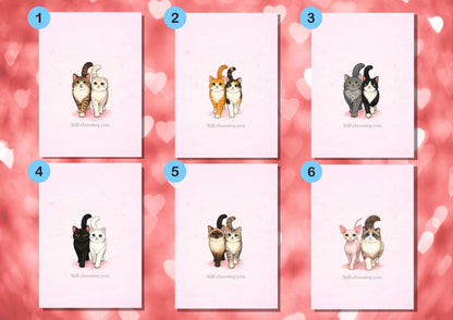 Still Choosing You Cat Valentine's Day Card | Funny Pet Love Greeting for Cat Lovers | Romantic Feline Anniversary Gift