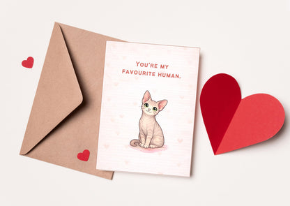 You're My Favourite Human Cat Valentine's Day Card | Cute Love Note for Pet Lovers