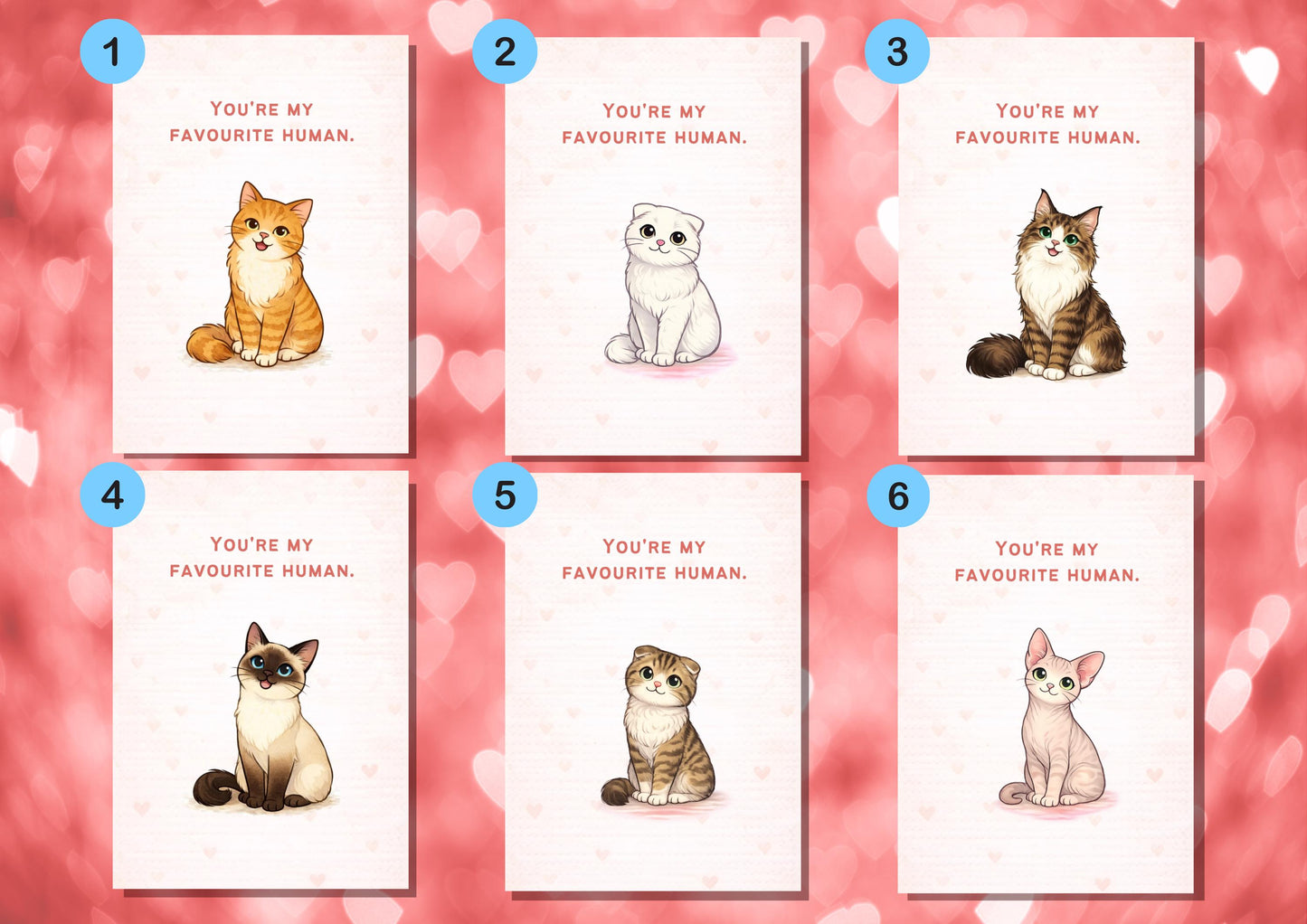 You're My Favourite Human Cat Valentine's Day Card | Cute Love Note for Pet Lovers