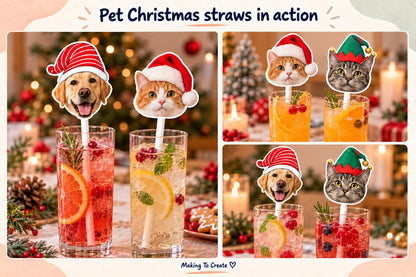 Three styled pet christmas photo straw examples in tall drinks glasses, displayed on a cream and muted peach gallery page.